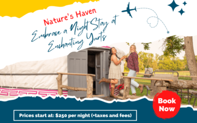 Nature’s Haven: Embrace a Night Stay at Enchanting Yurts