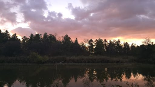 Photo from customer review