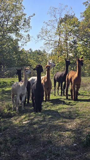 Photo from customer review