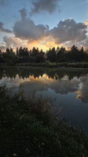 Photo from customer review