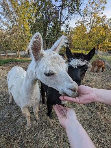 Photo from customer review