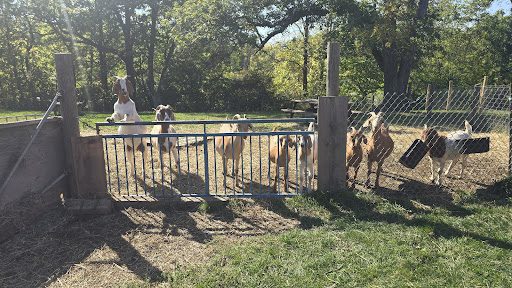 Photo from customer review