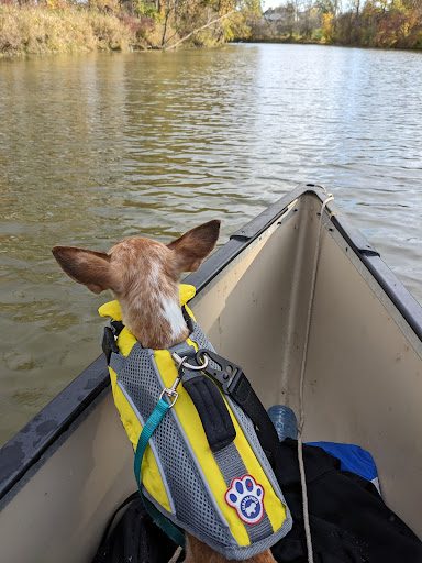 Photo from customer review