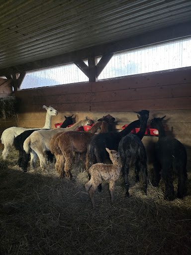 Photo from customer review