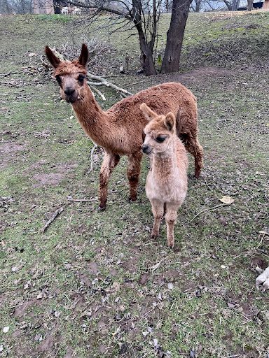 Photo from customer review